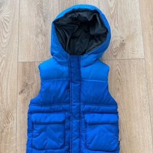Zara Vibrant Blue Puffer Jacket